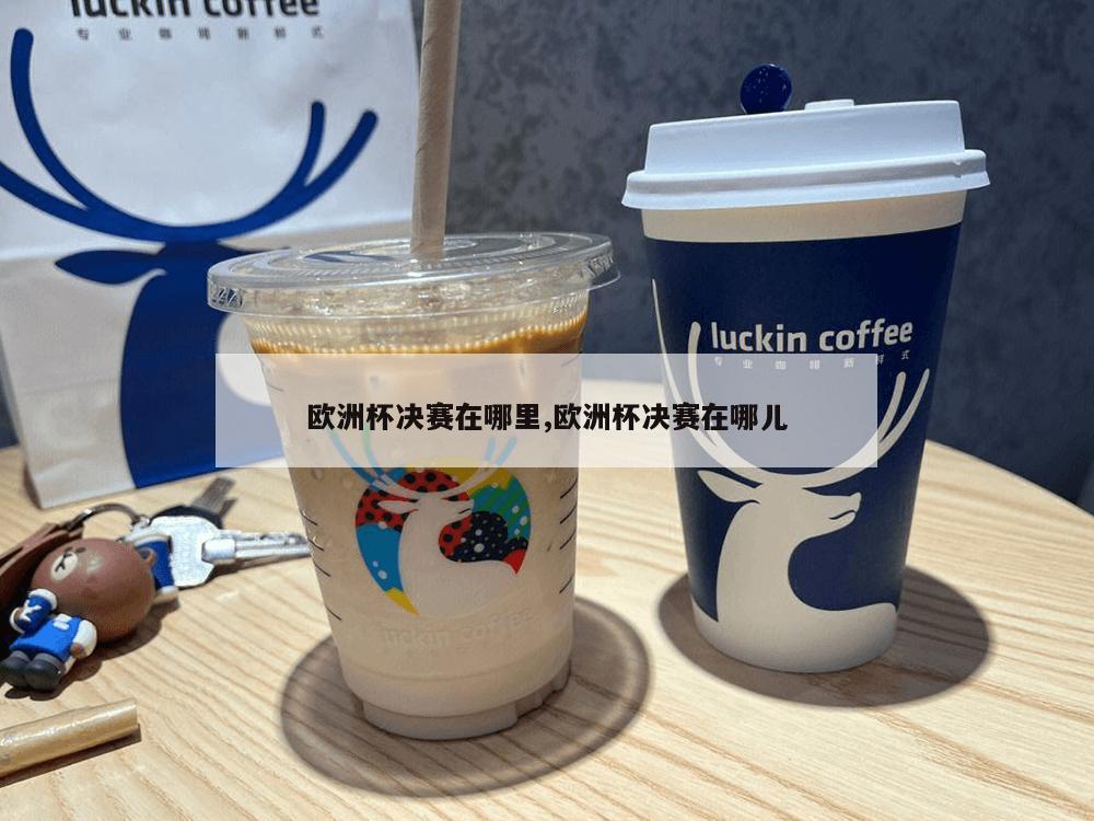 欧洲杯决赛在哪里,欧洲杯决赛在哪儿